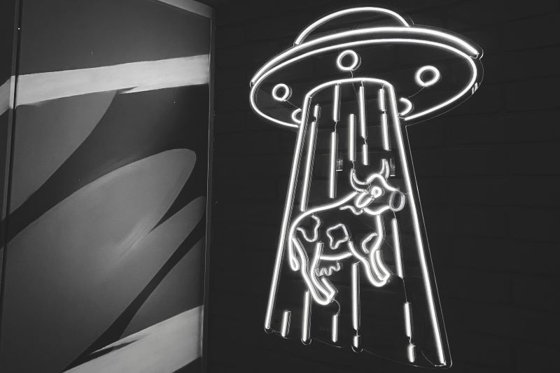 neon sign of UFO abducting cow