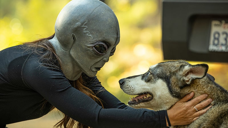 woman in Grey alien mask extends arms out to dog