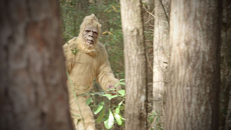 Bigfoot Featured on Idaho 'I Voted' Stickers