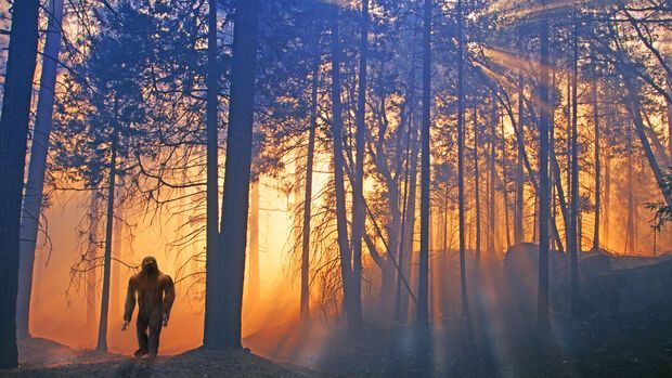 Medic to Mystic / Bigfoot Investigations