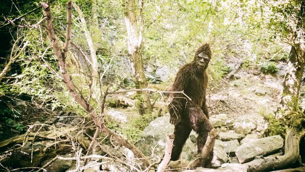 Hidden Government Funds / Patterson-Gimlin Controversy
