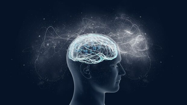 Building a Better Brain / Animal Reincarnation