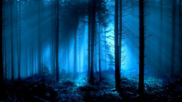 Mysterious Experiences / Northwest Weirdness