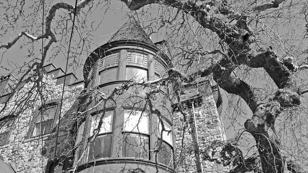 Haunted Houses / Horror Movies