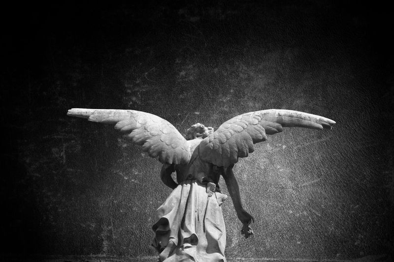 Angelic Healing / Open Lines