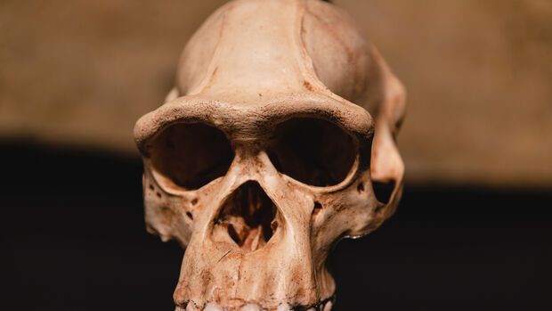 Rewriting Hominid History / Funerals & Technology