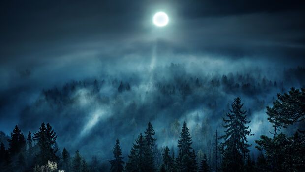 Natural Remedies / Appalachian Folklore