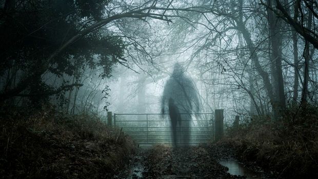 Food Freedom / Time Slips