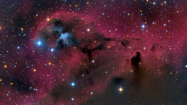 Space Mysteries & Thanksgiving Tips