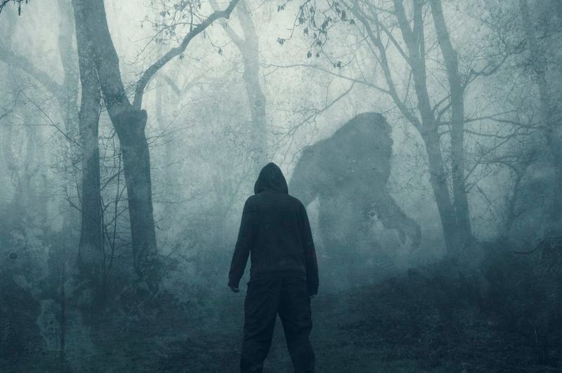 Bigfoot Sightings / Stargate & Remote Viewing