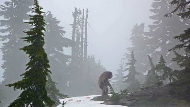 Sasquatch Interactions / Open Lines