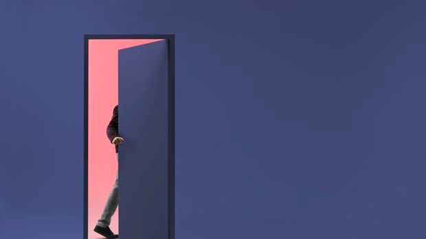 Secret Door XXV