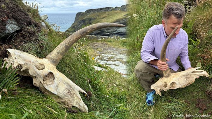 Family on Vacation Discovers 'Unicorn' Skull