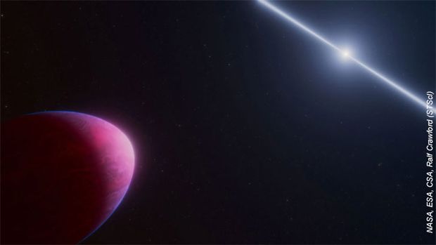 Five Odd Exoplanets Discovered in 2025