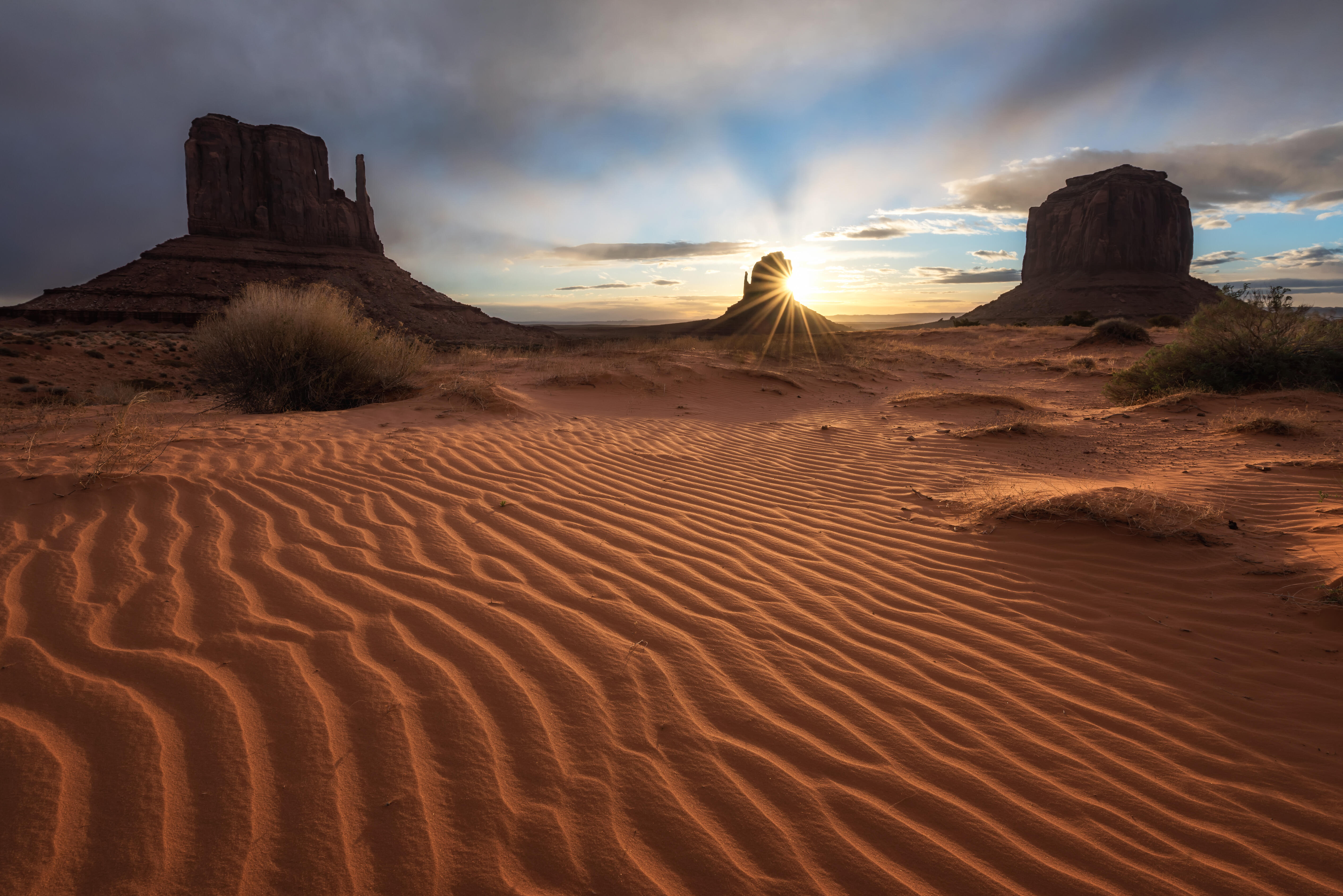 Imperiled Animals / Navajo Rangers