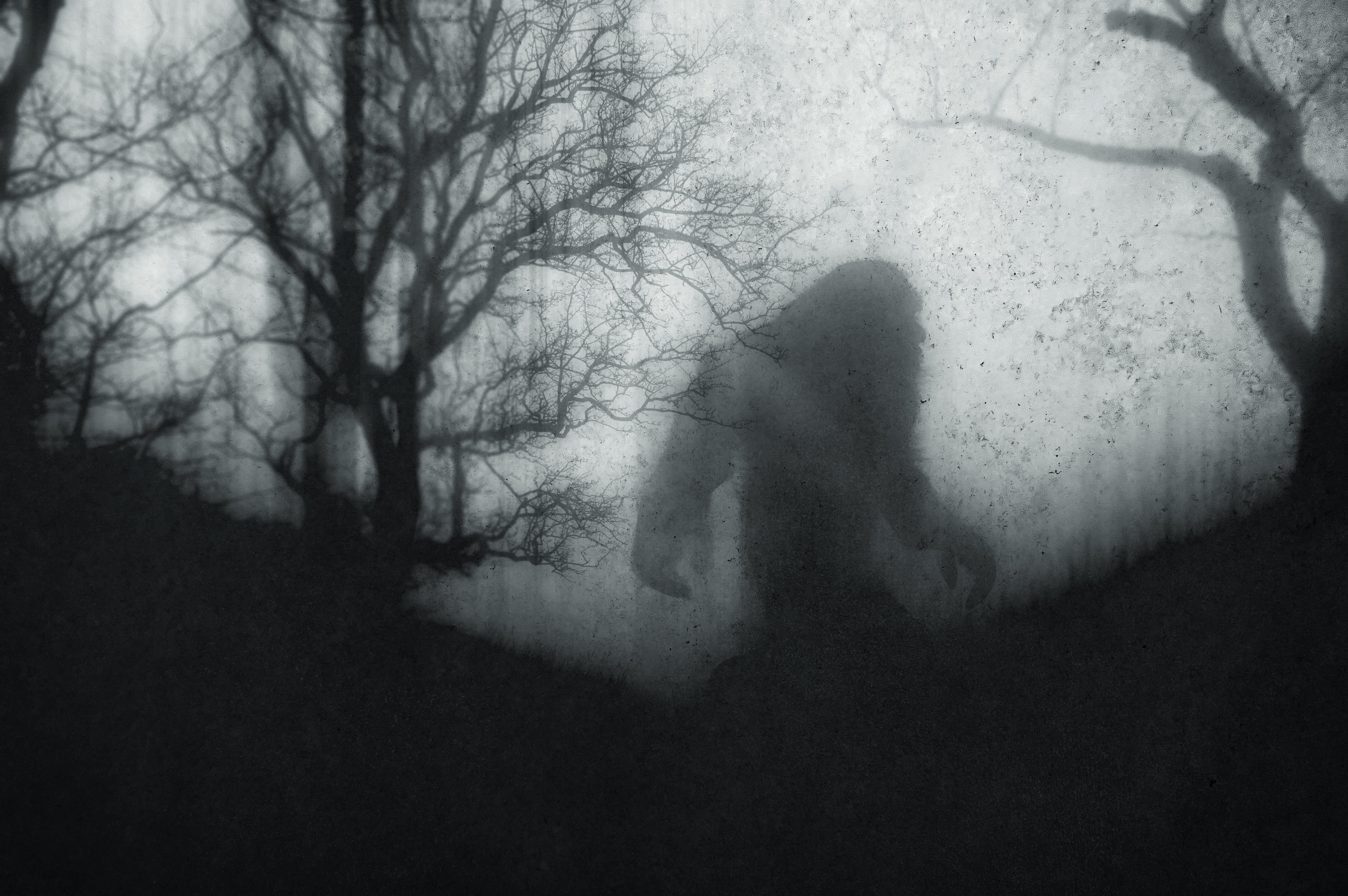 Investigating Bigfoot / Ghost Hunting & Parapsychology