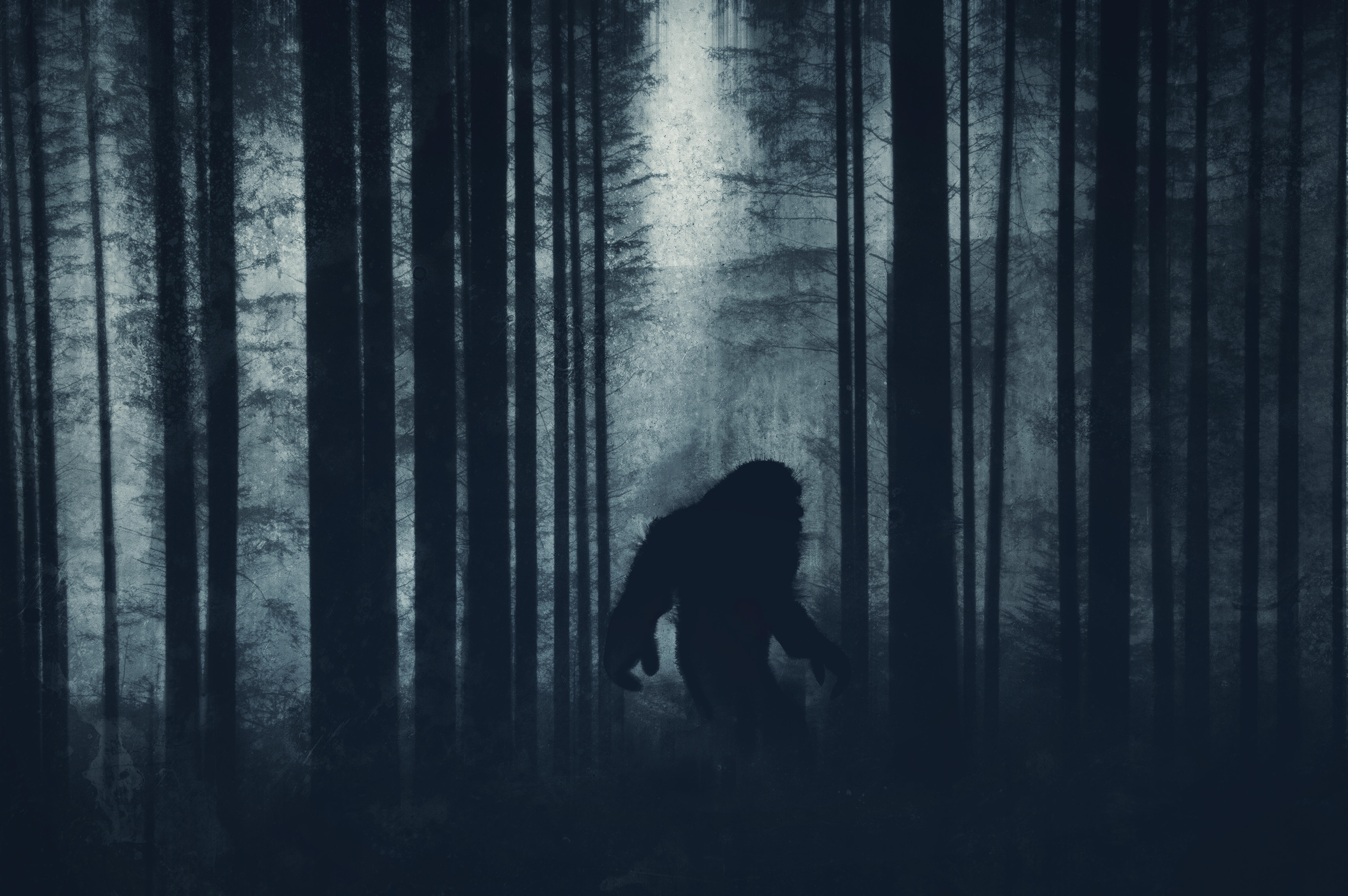 Bigfoot, UFOs, & Military Involvement