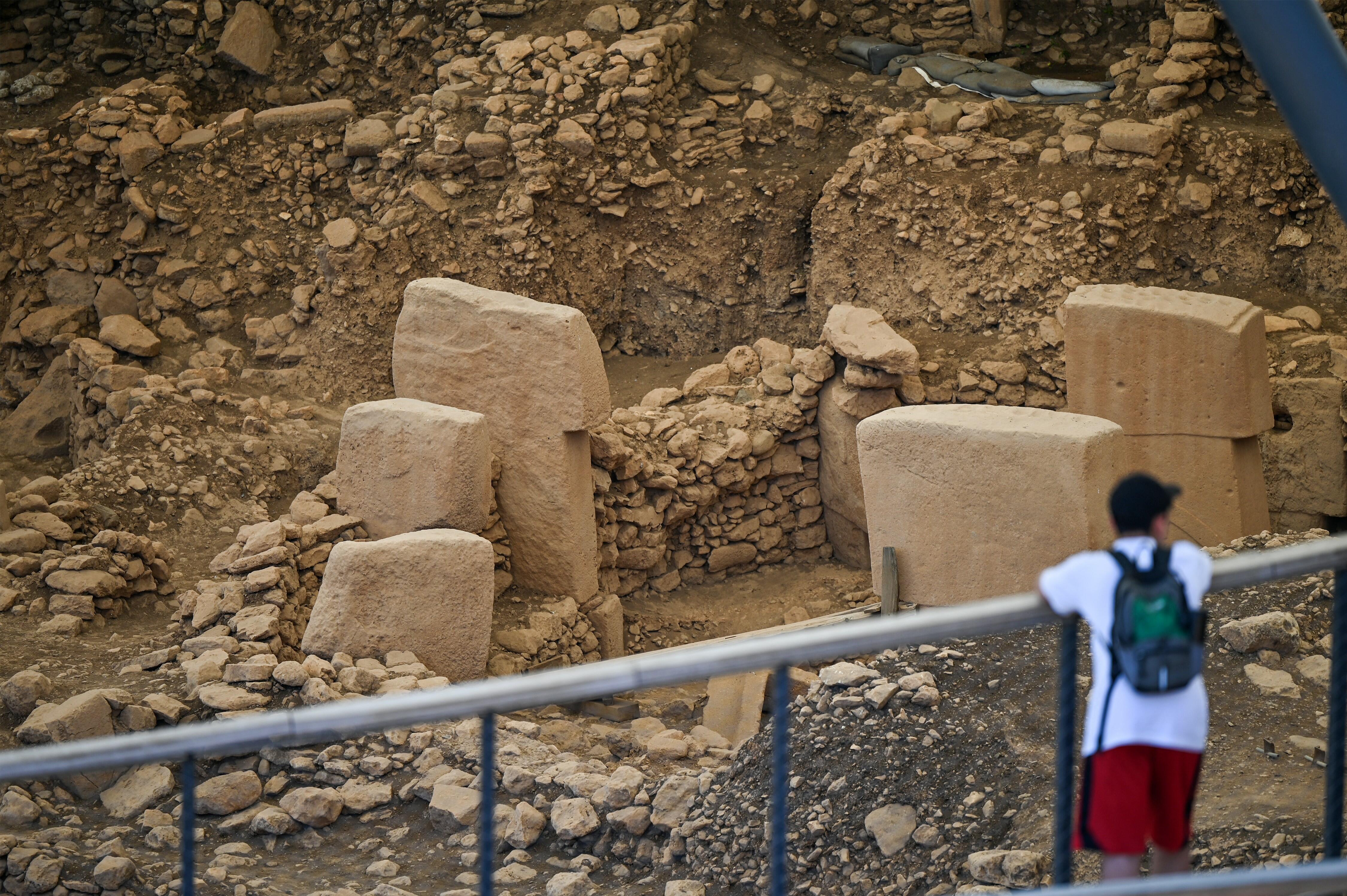 Ancient Carvings May Depict Comet and World's First Calendar