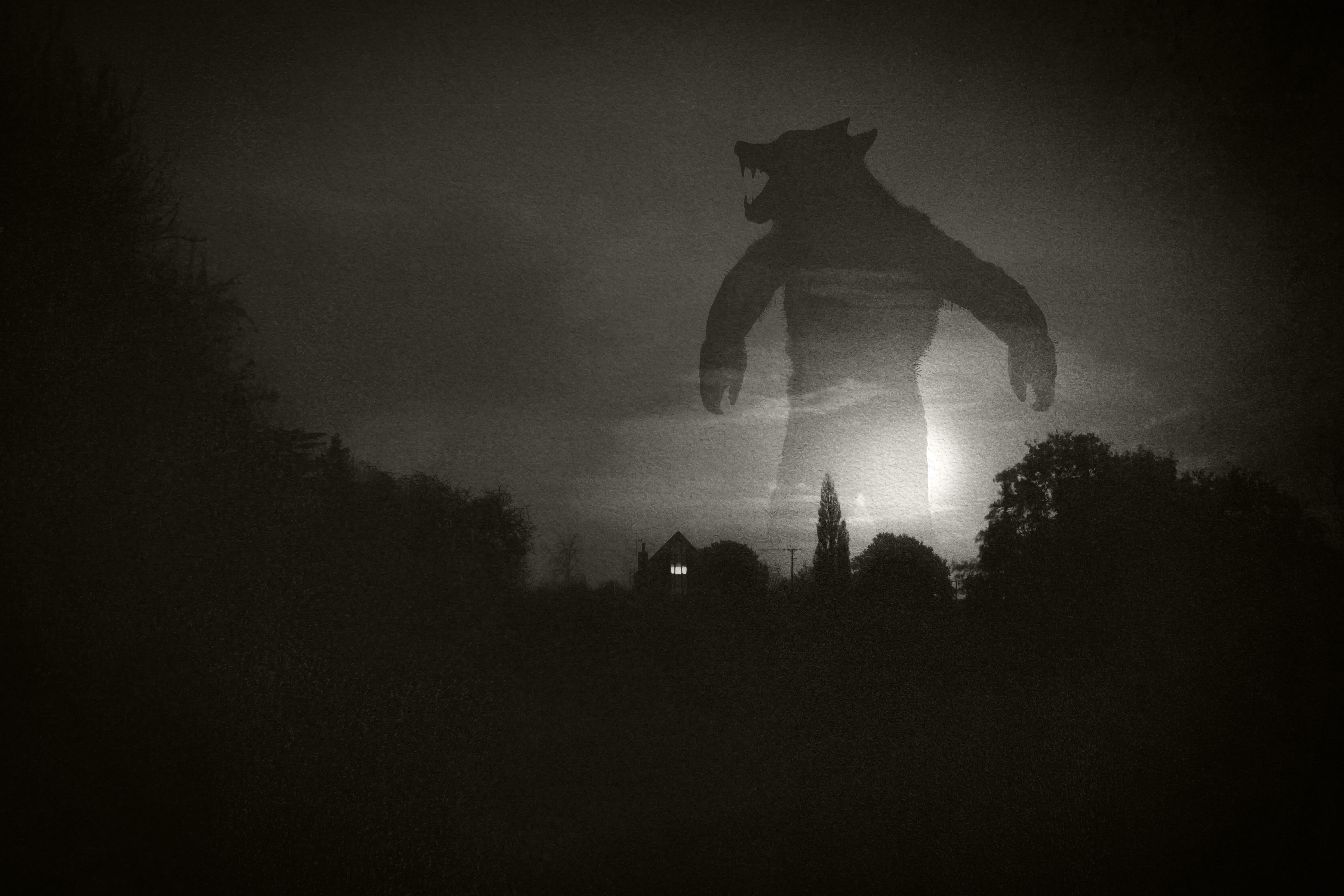 Coombs Ferry Creature / Jack the Ripper & Suchir Balaji's Death