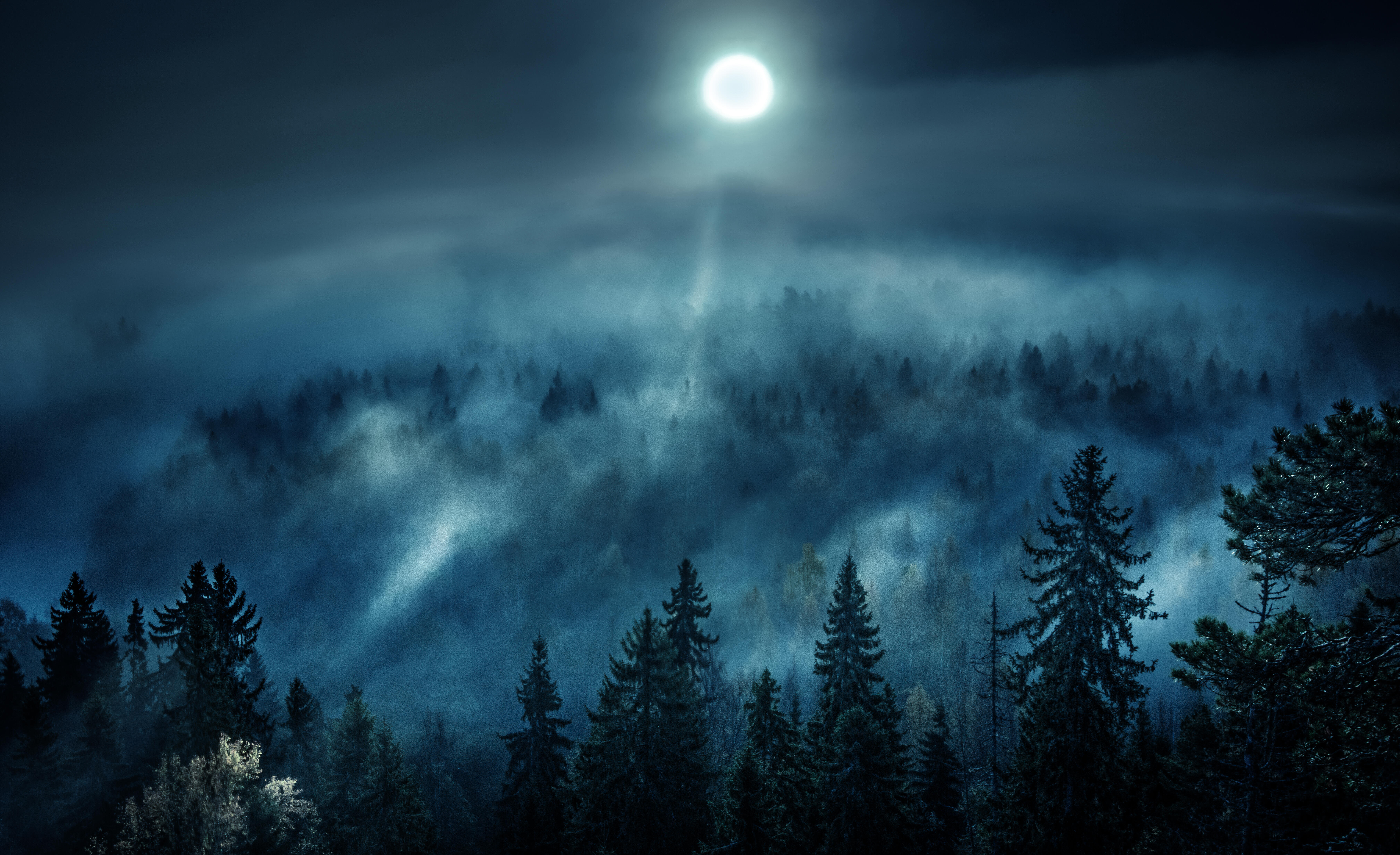 Natural Remedies / Appalachian Folklore