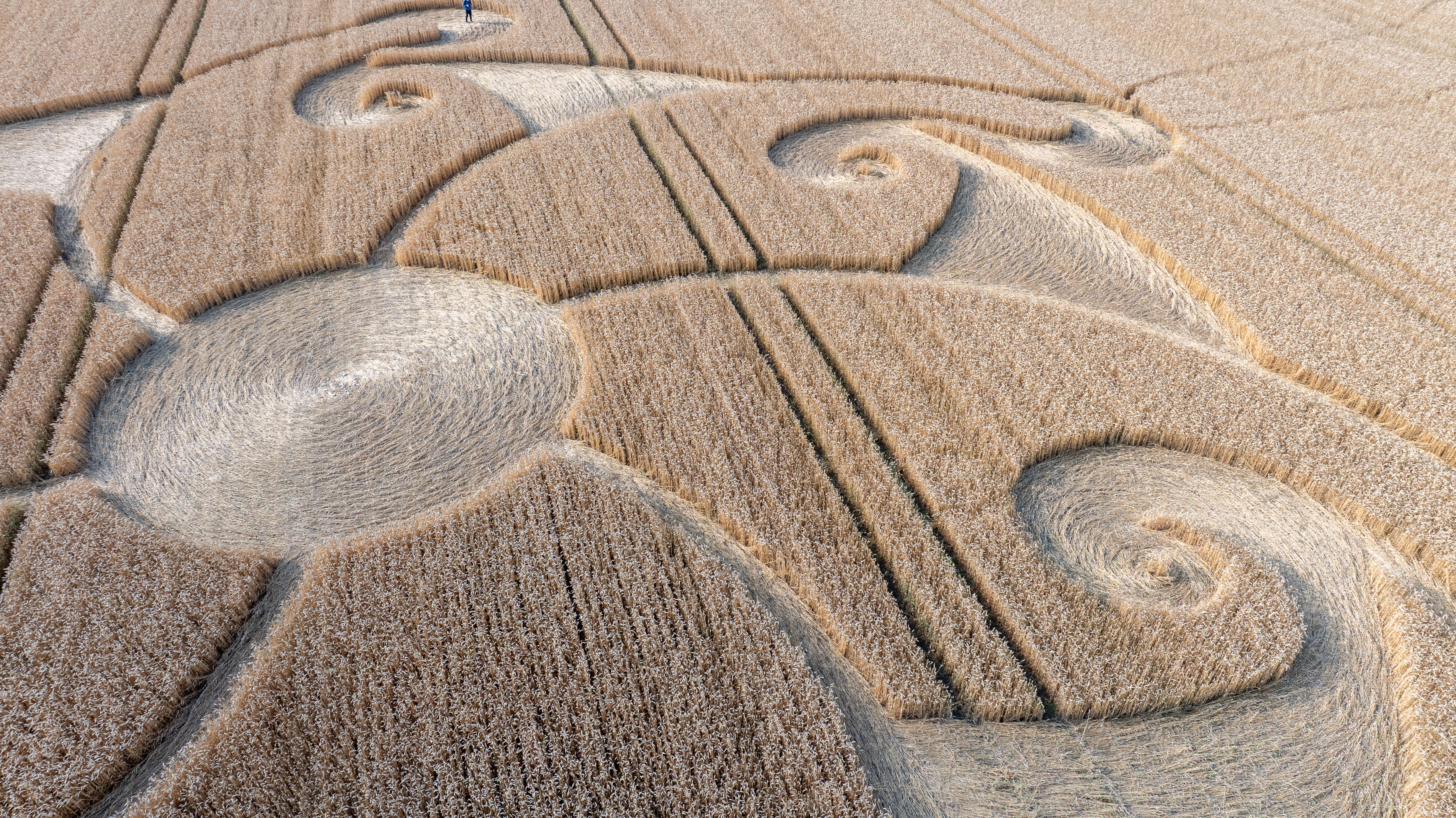 Investigating Crop Circles / Energy Medicine