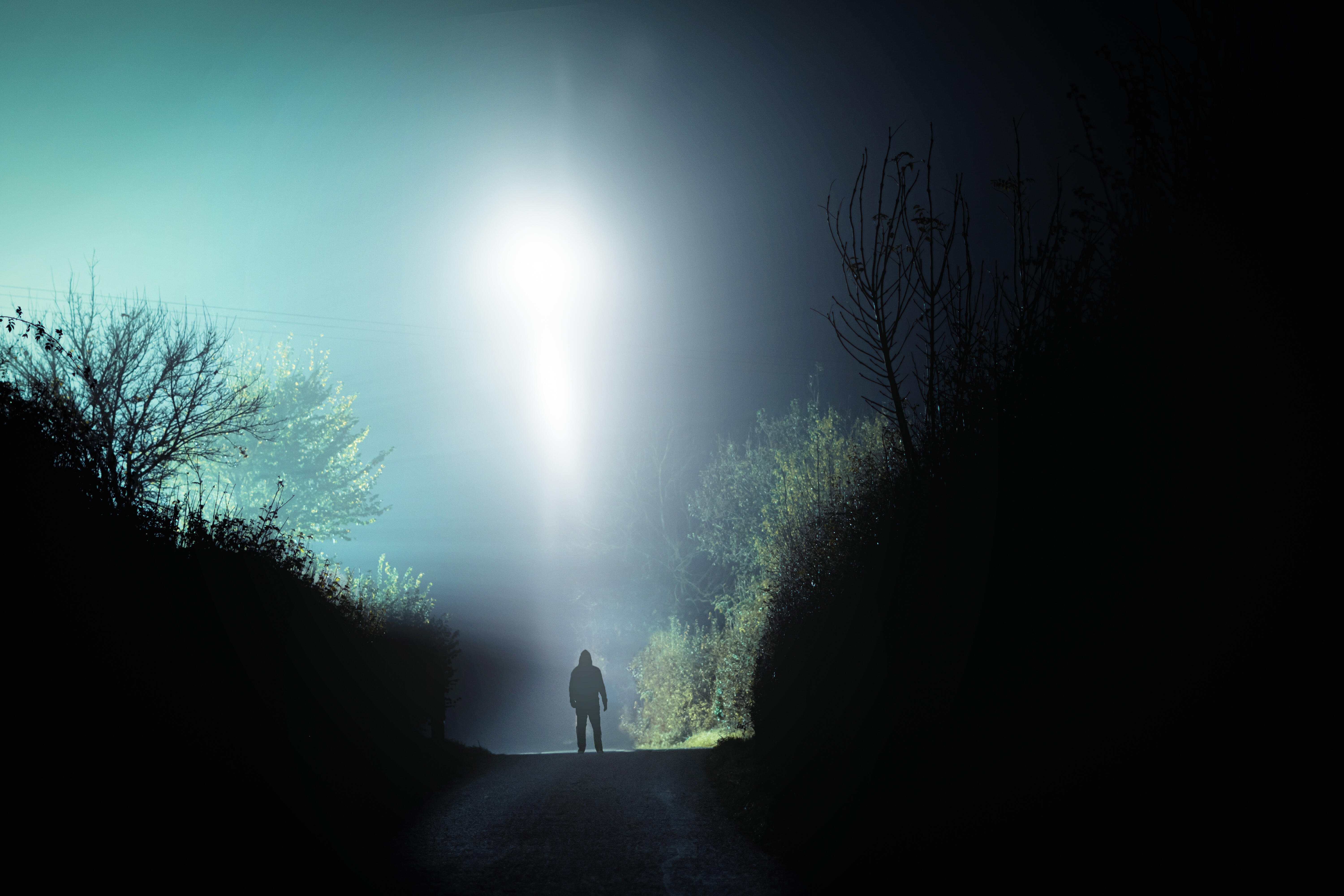 Achieving Goals / Alien Abduction Experiences