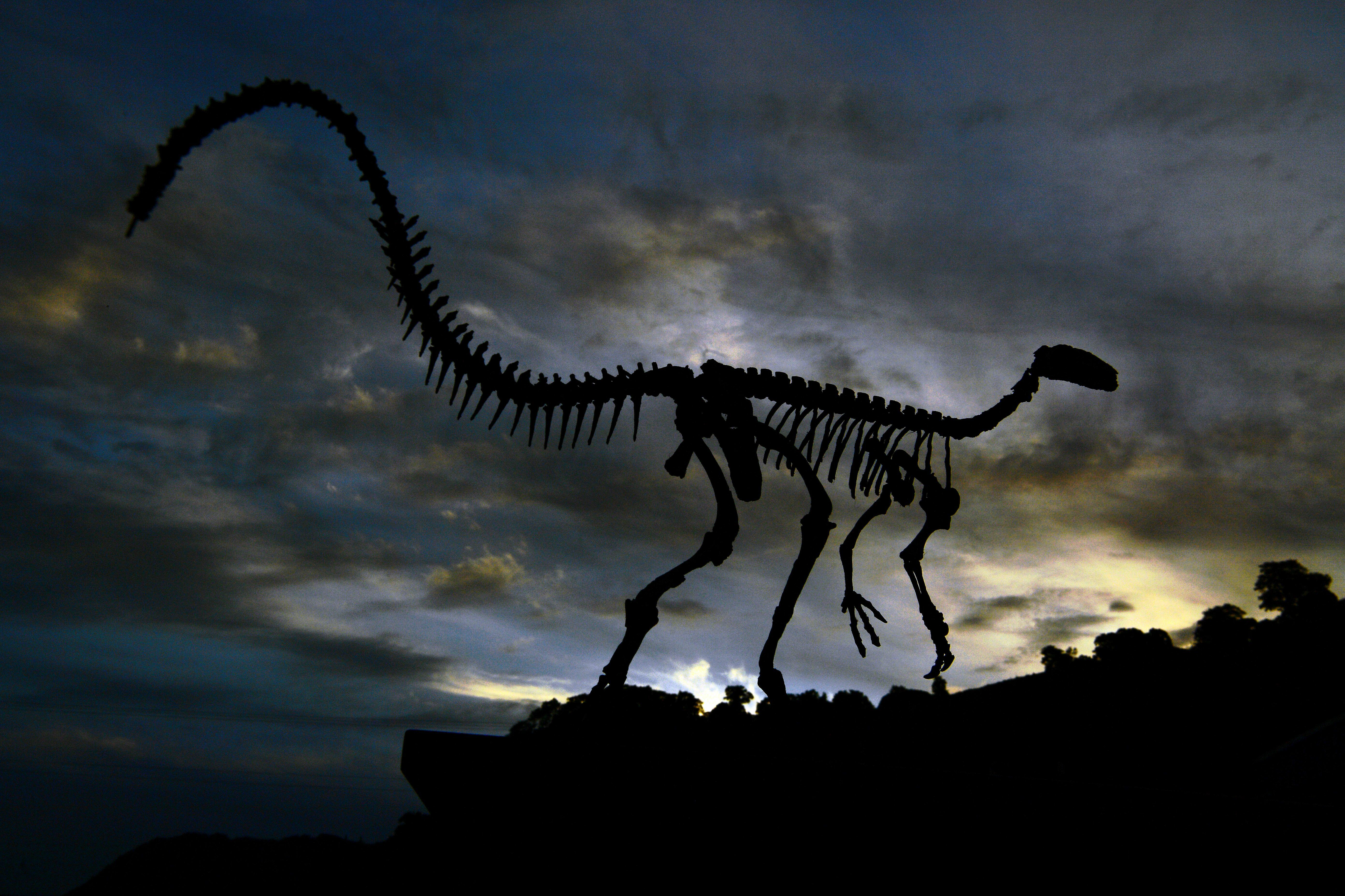 Numerology & Current Events / Dinosaurs & Dragons